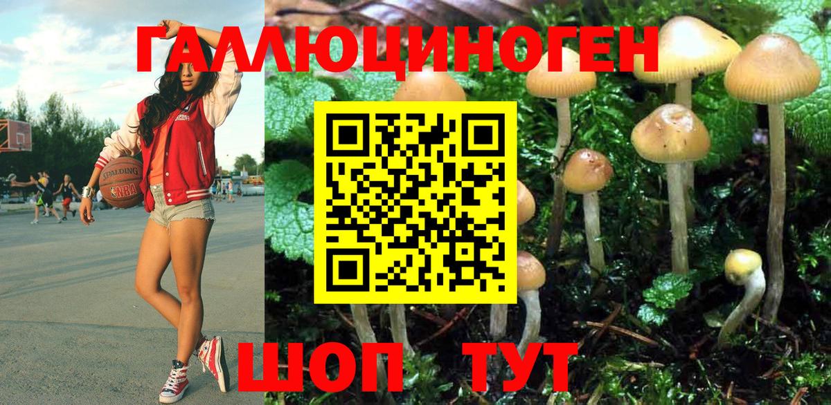 Галлюциногенные грибы MAGIC MUSHROOMS Георгиевск